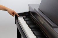 CN39R_panel_keyboard_hand