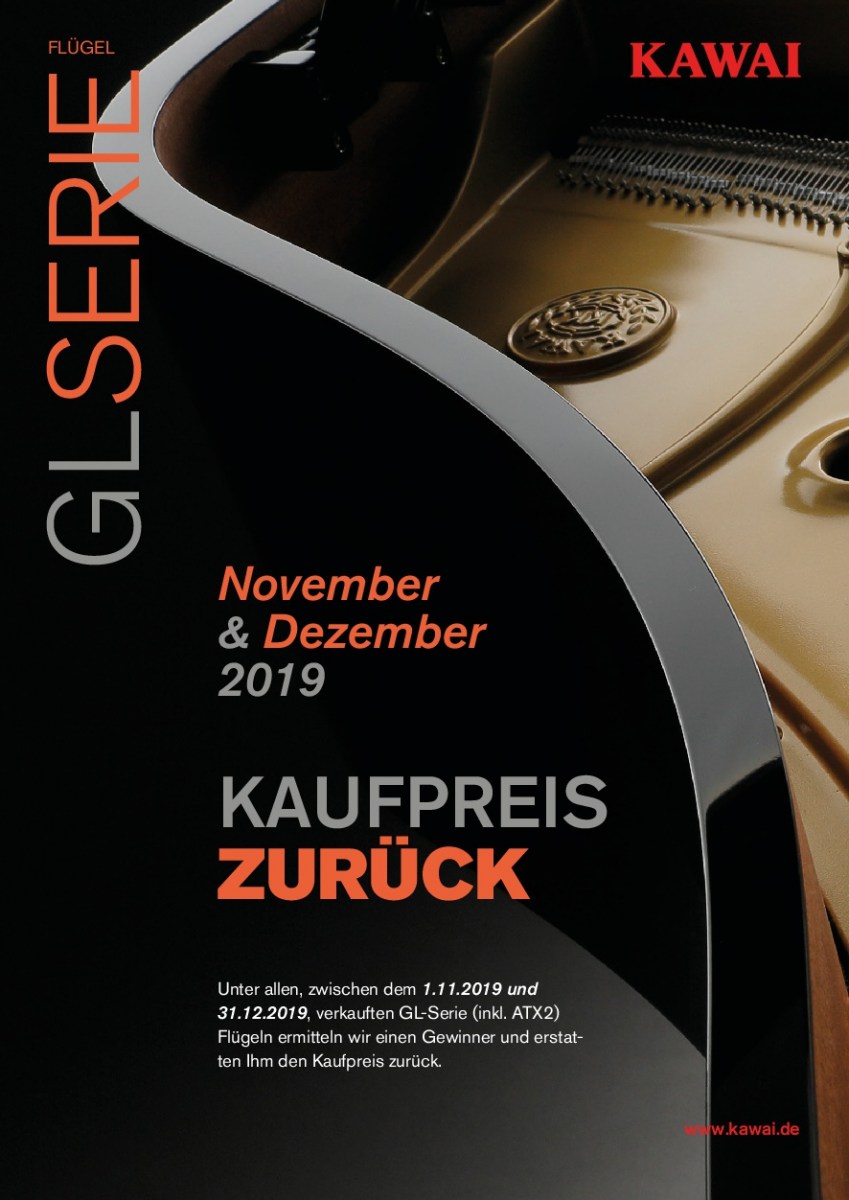 Flyer4